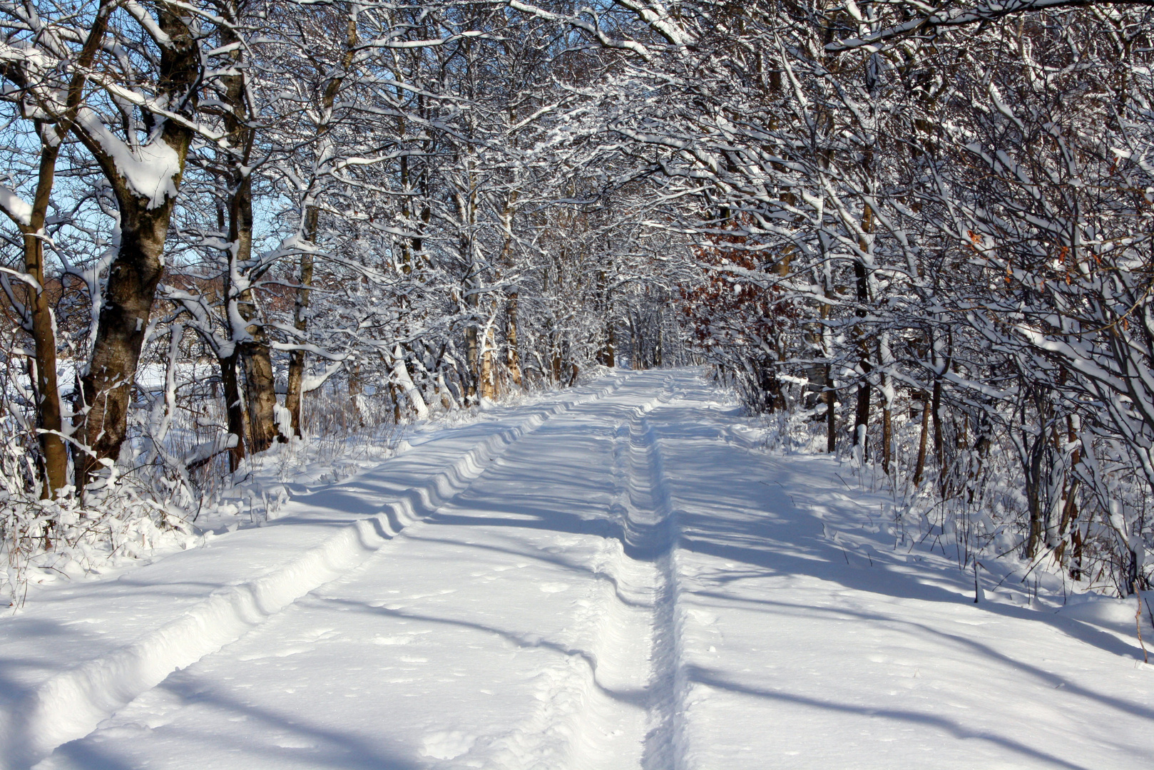 Schneelandschaft