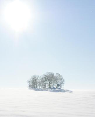 Schneelandschaft