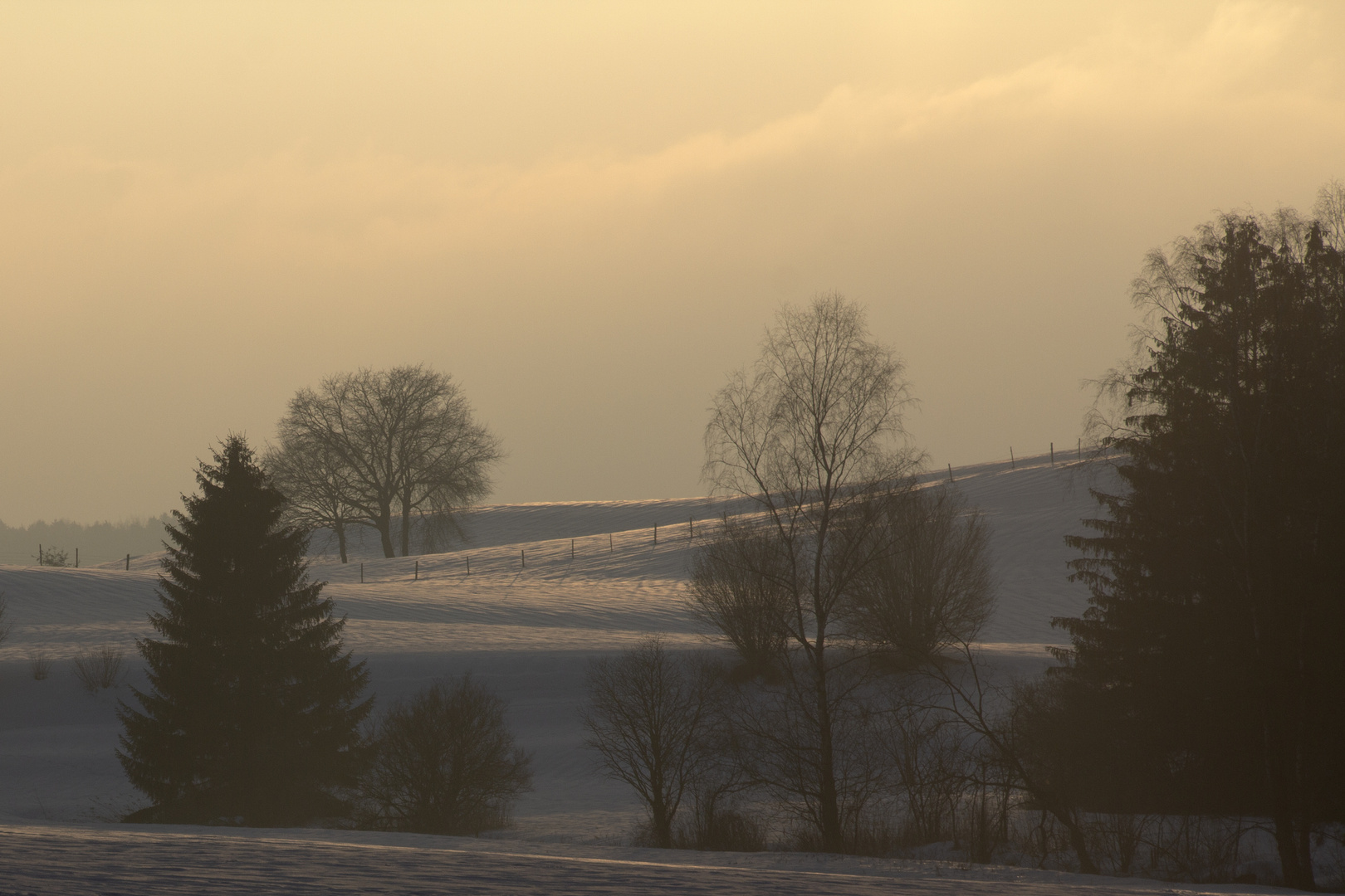 Schneelandschaft