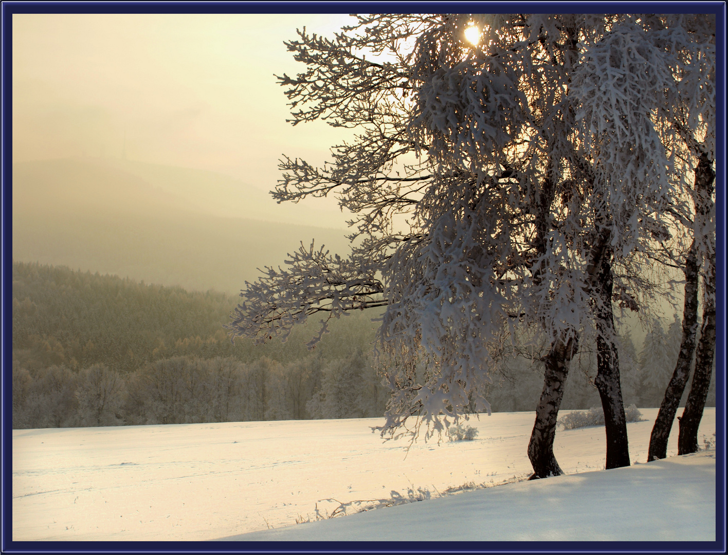 Schneelandschaft