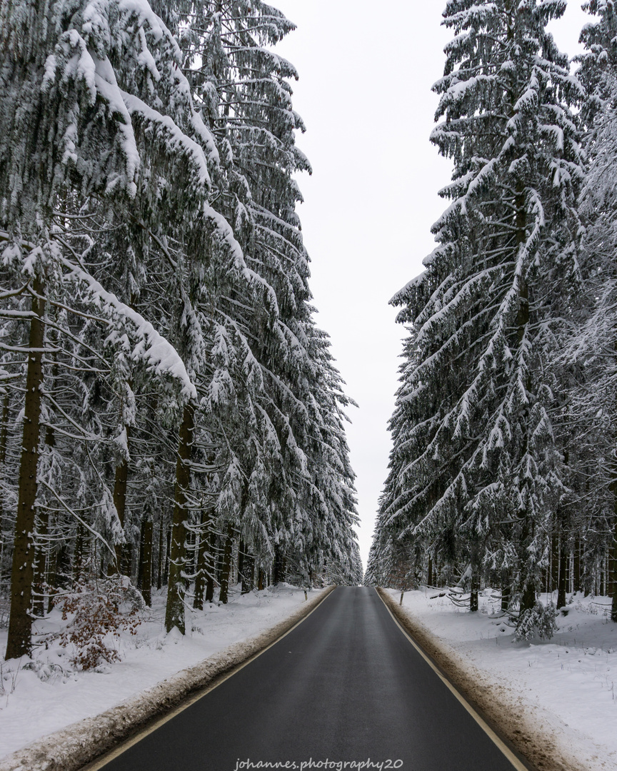 Schneelandschaft