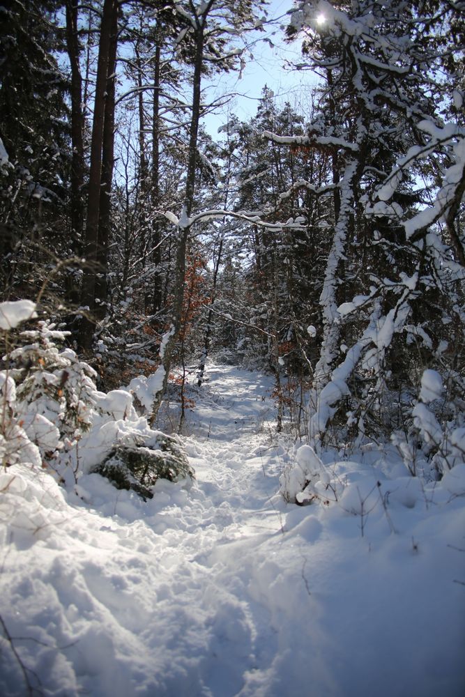 Schneelandschaft...