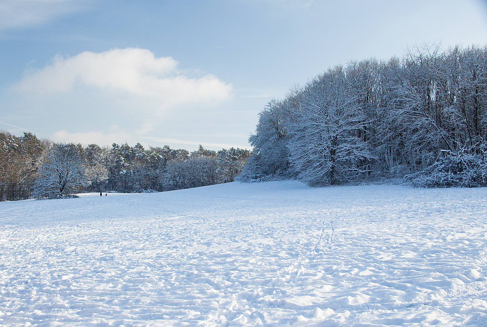 Schneelandschaft 