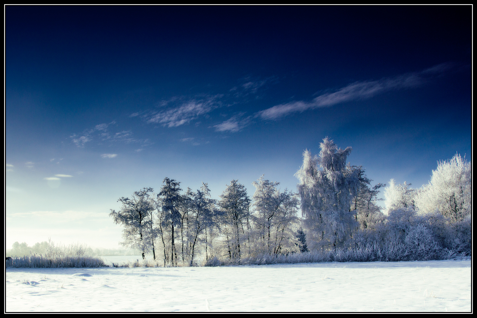 Schneelandschaft