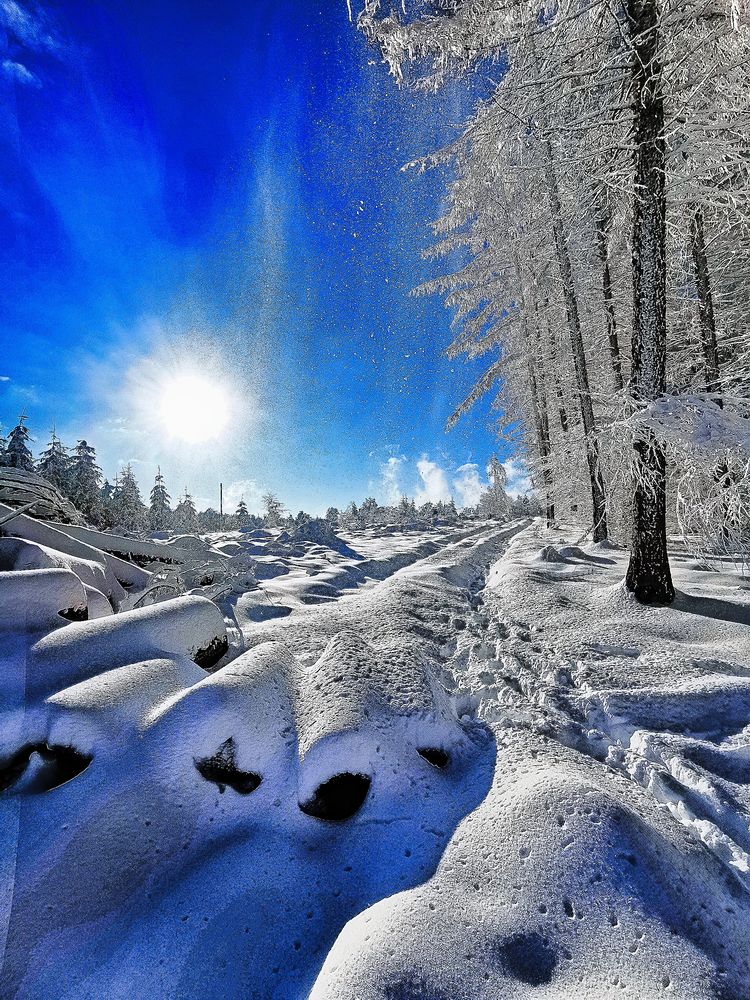 Schneelandschaft Foto & Bild  natur, jahreszeiten, winter Bilder auf 