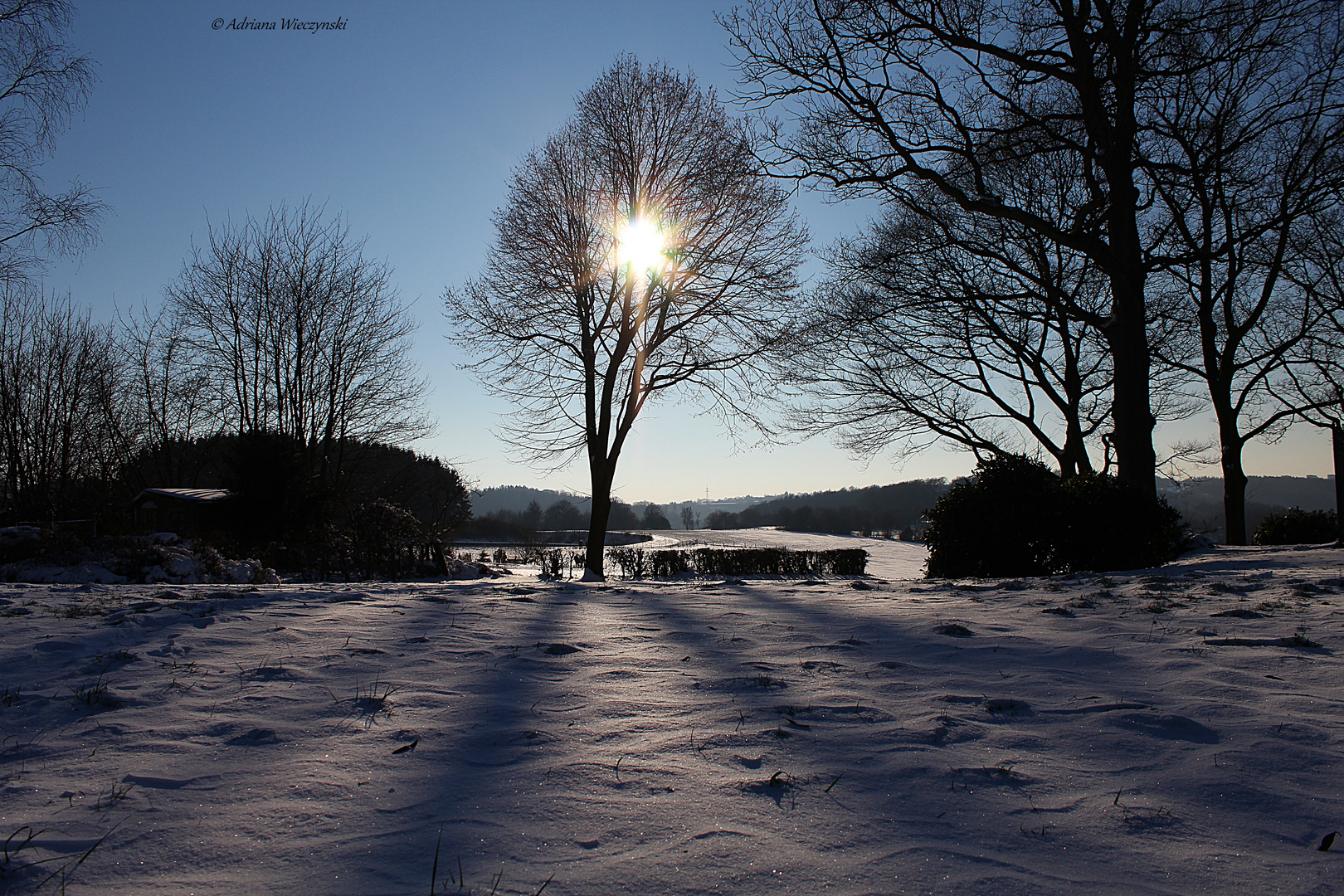 Schneelandschaft