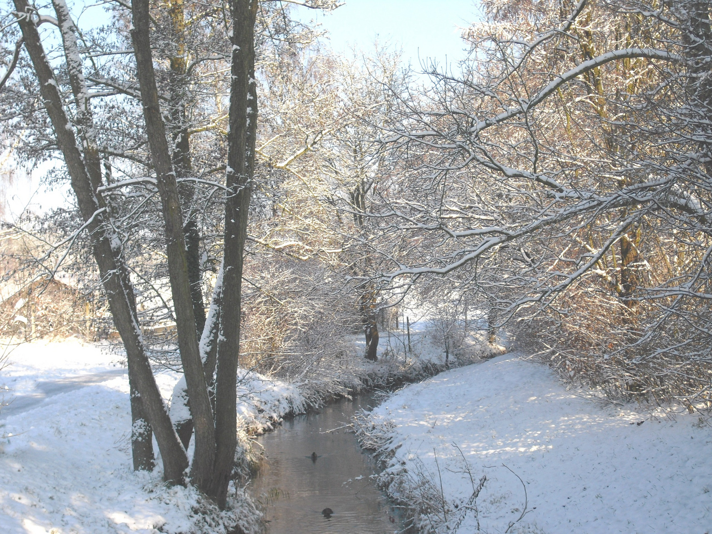 Schneelandschaft