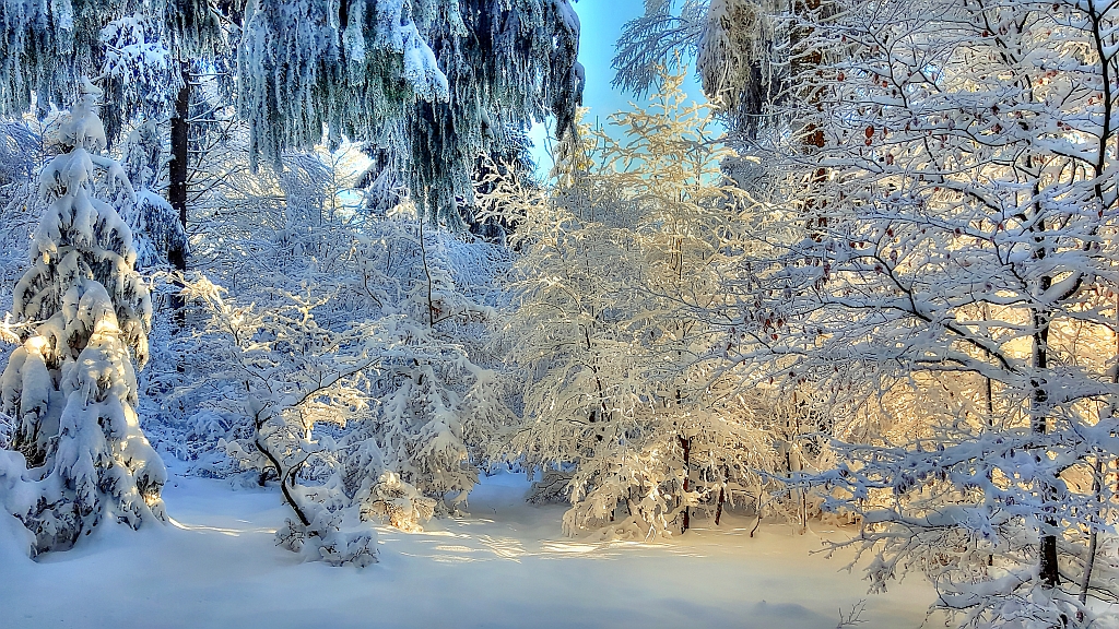 Schneelandschaft