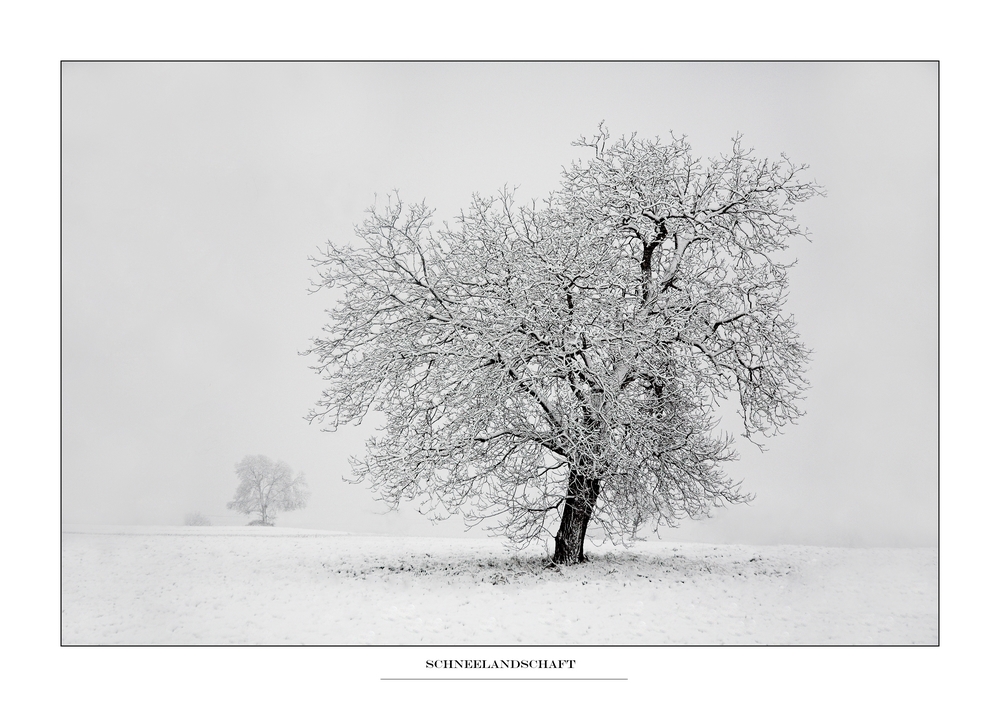 Schneelandschaft