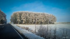 Schneelandschaft