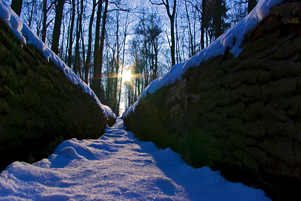 Schneelandschaft