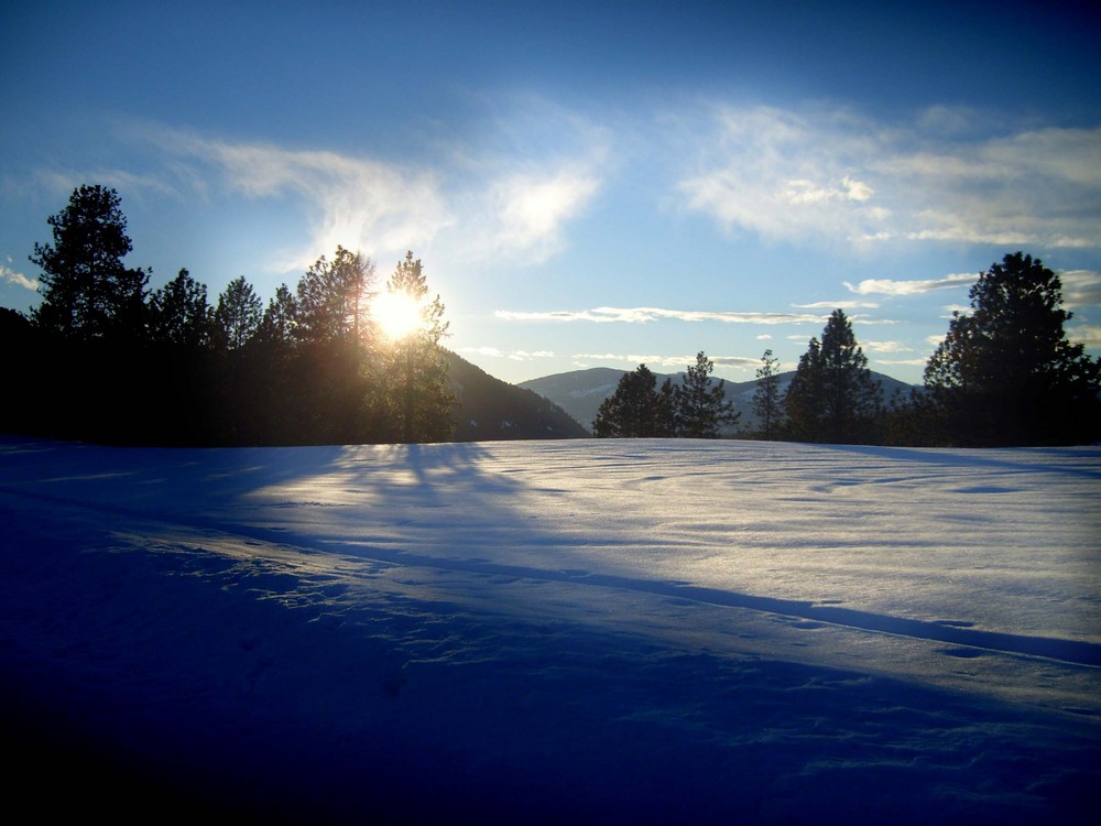 Schneelandschaft