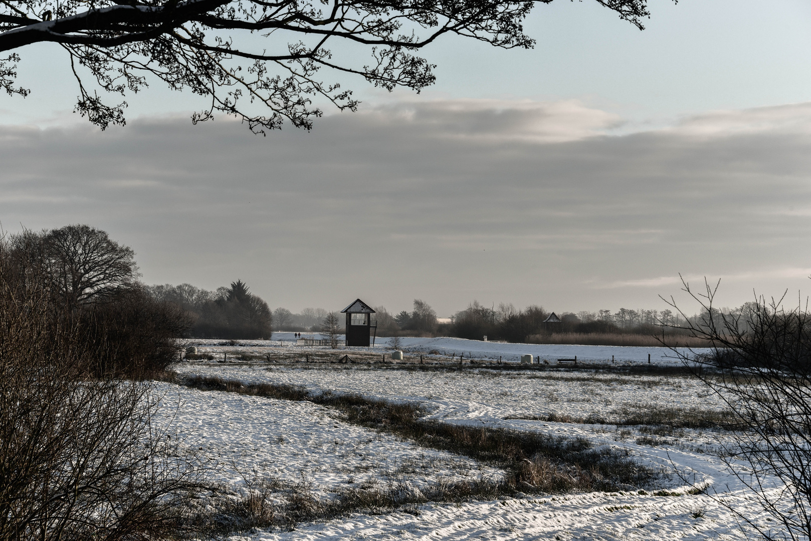 Schneelandschaft