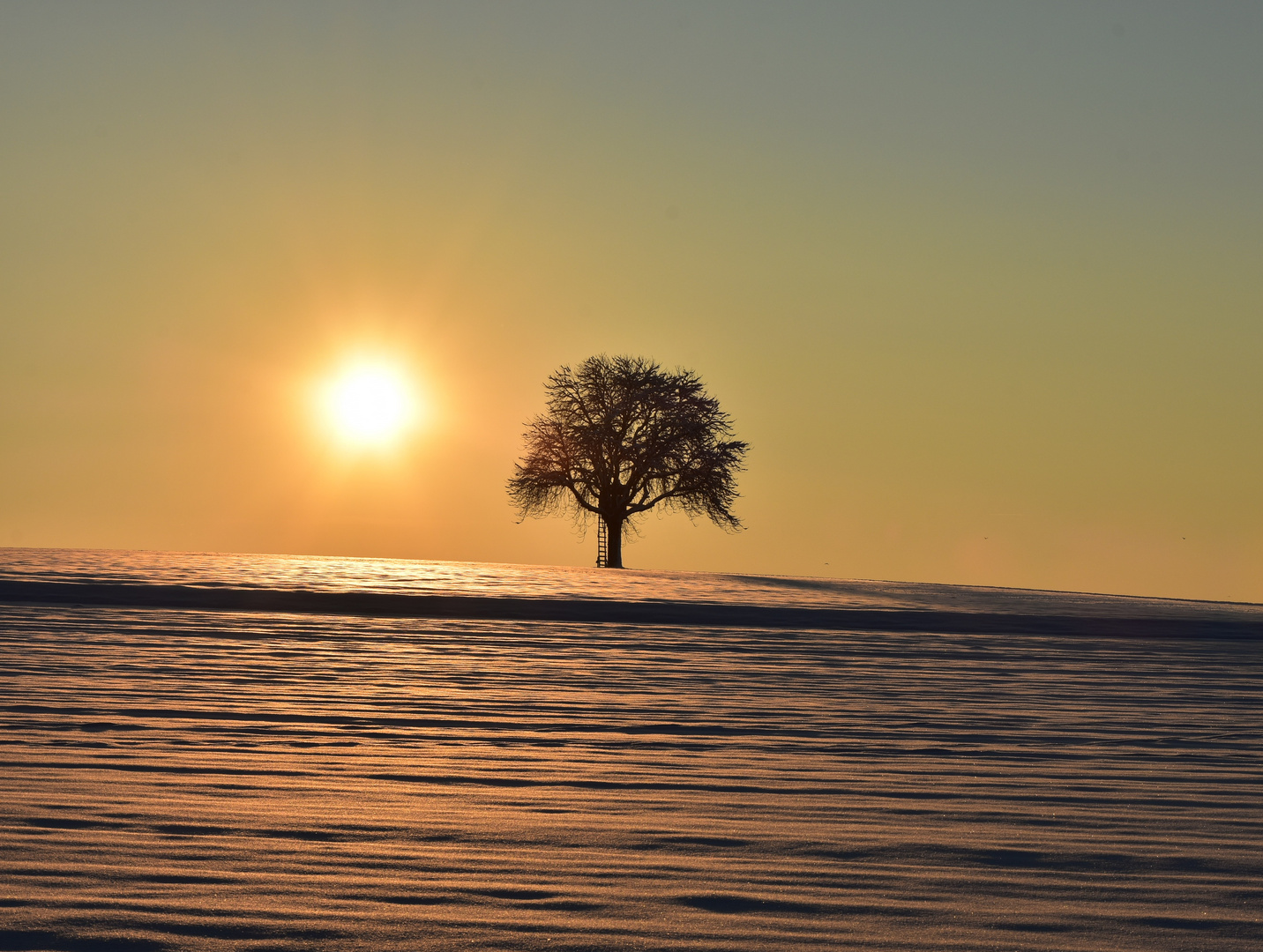 Schneelandschaft