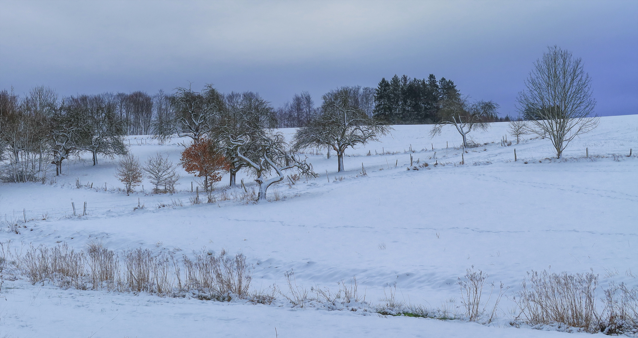 Schneelandschaft