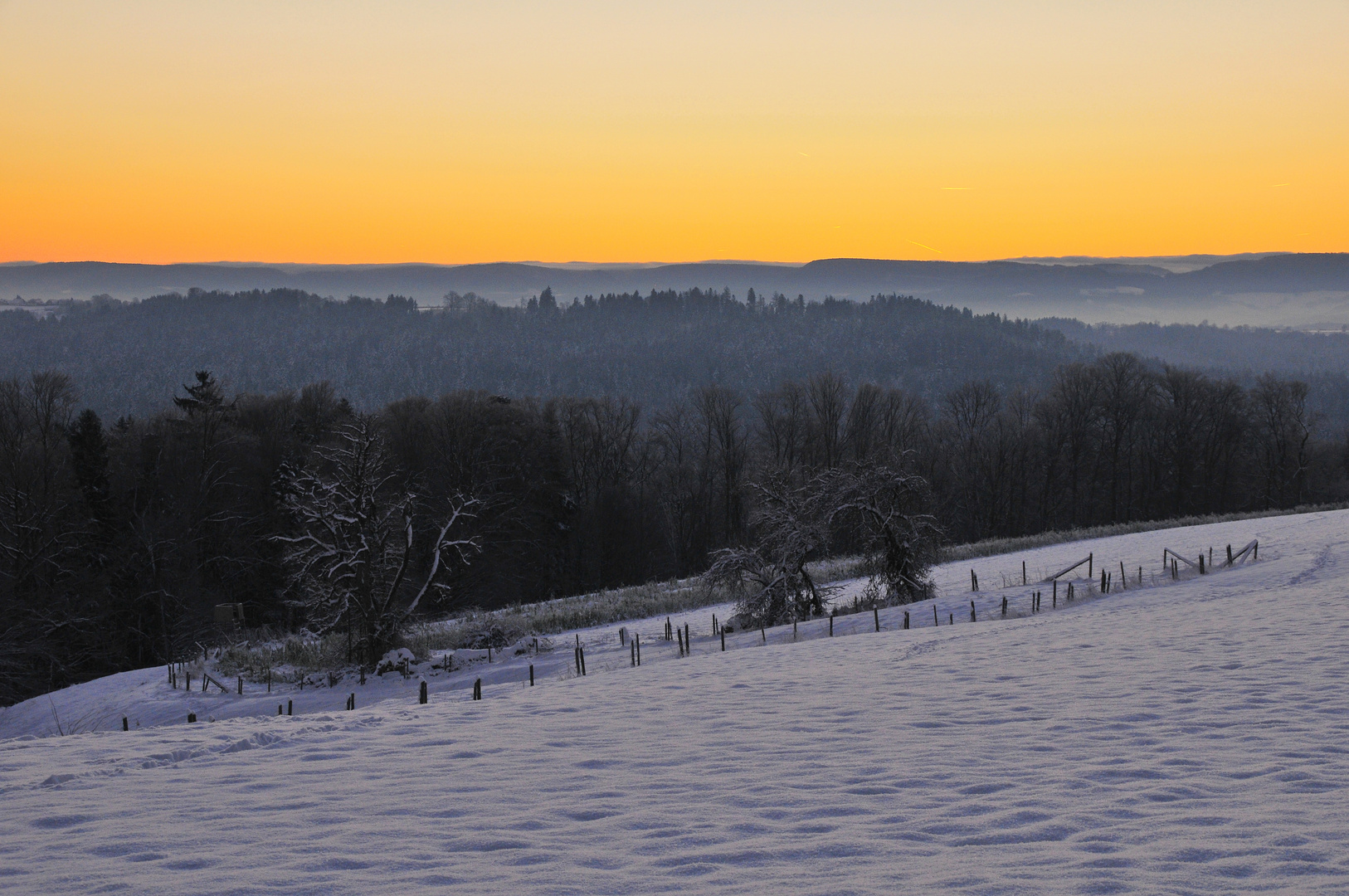 Schneelandschaft