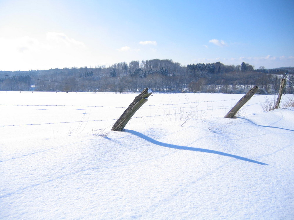 Schneelandschaft