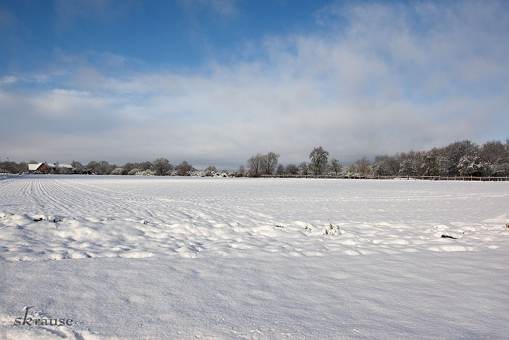 Schneelandschaft