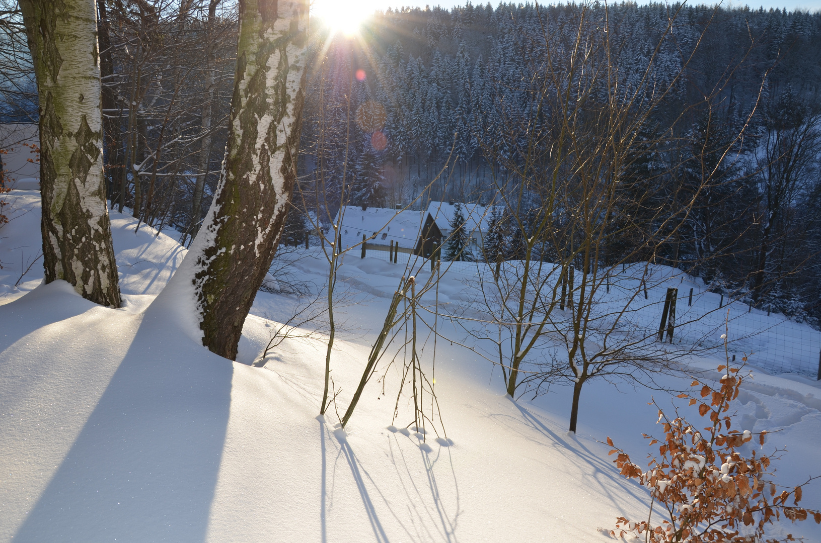 Schneelandschaft