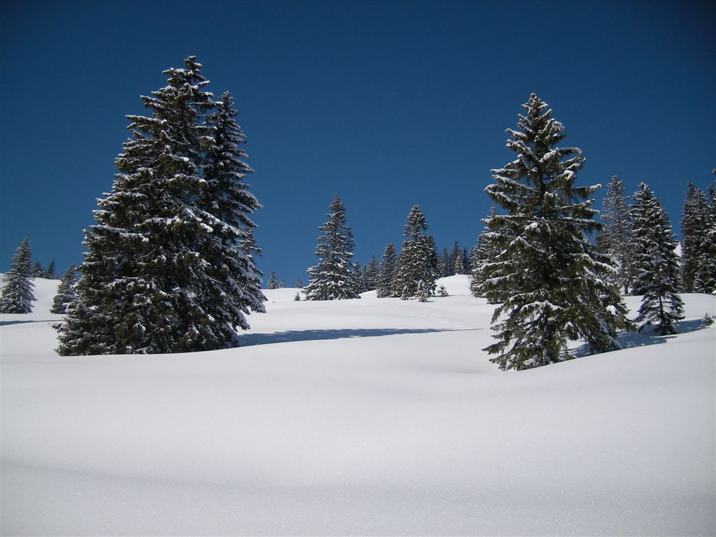 Schneelandschaft Allgäu