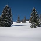 Schneelandschaft Allgäu