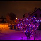 Schneelandschaft am Abend