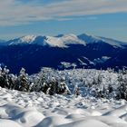 Schneelandschaft am Ritten