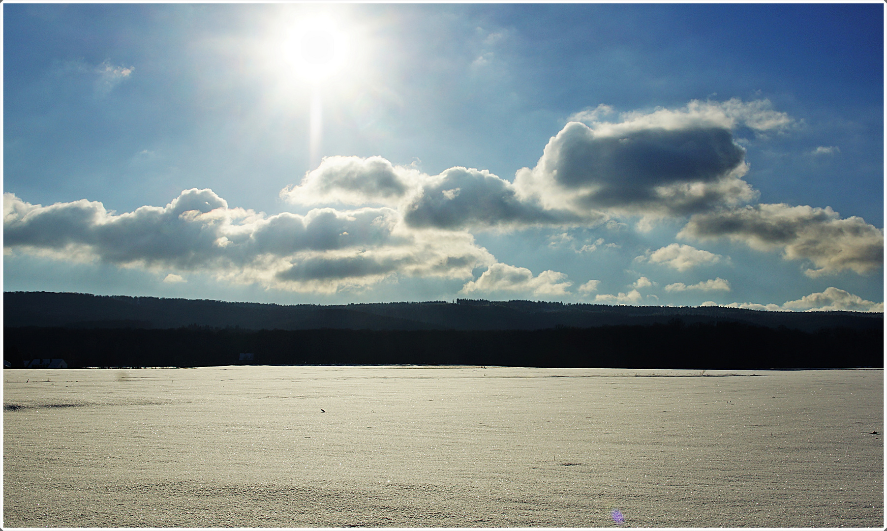 Schneelandschaft am Wald