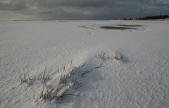 Schneelandschaft am Wasser