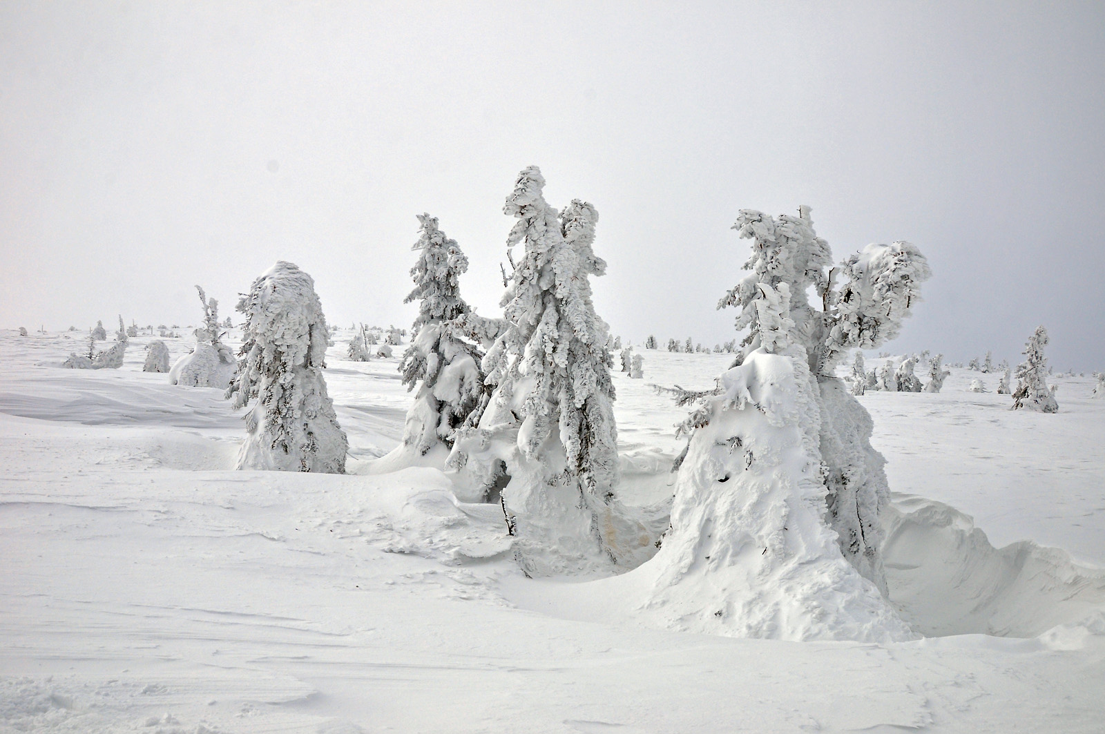 Schneelandschaft an der Schneekoppe