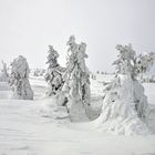 Schneelandschaft an der Schneekoppe