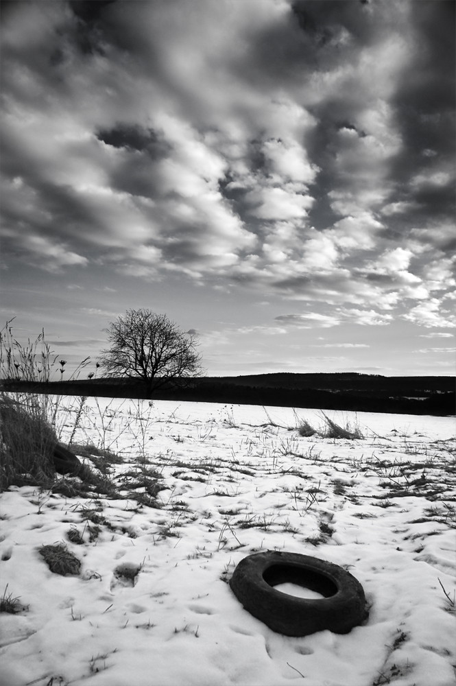 Schneelandschaft