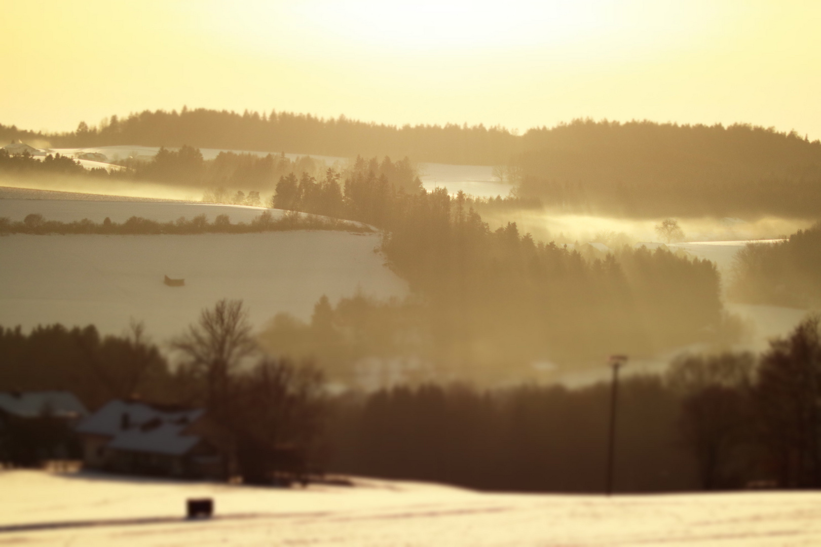 Schneelandschaft