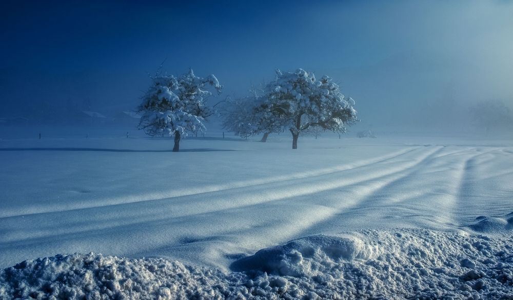 Schneelandschaft Foto & Bild  world, winter, schnee Bilder auf 