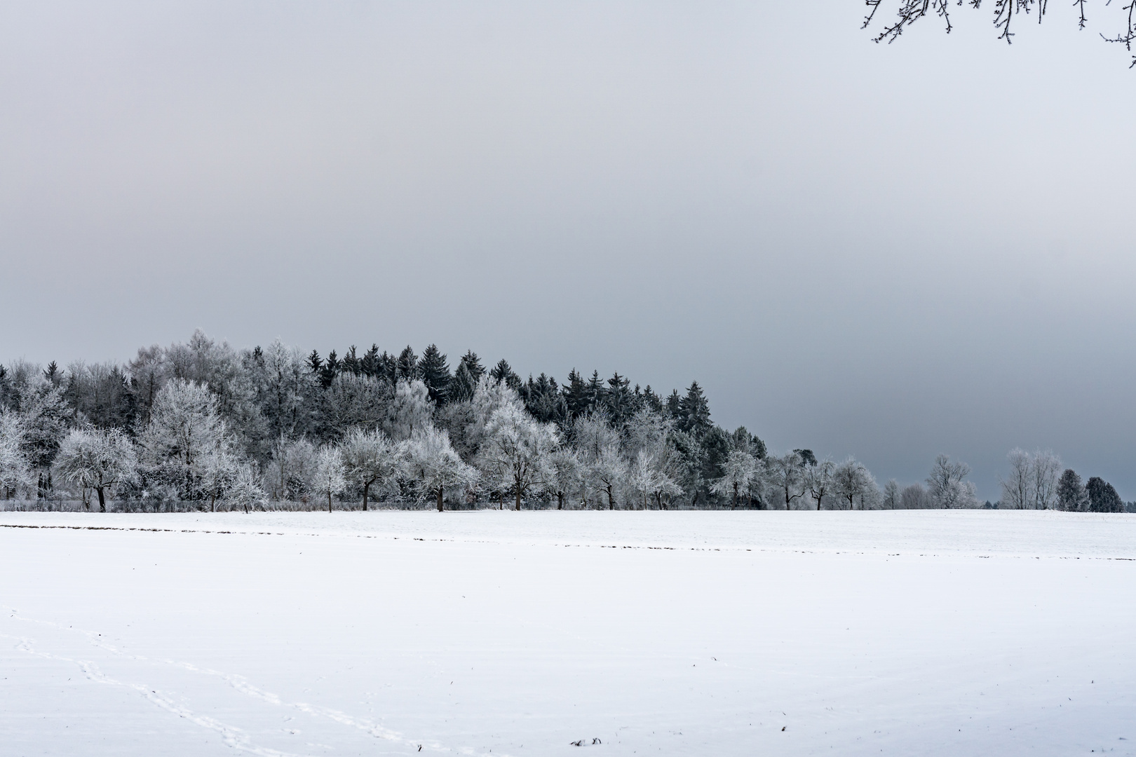 Schneelandschaft