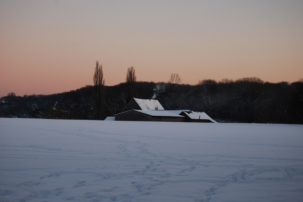 Schneelandschaft