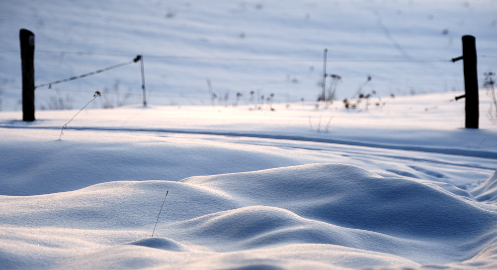 Schneelandschaft