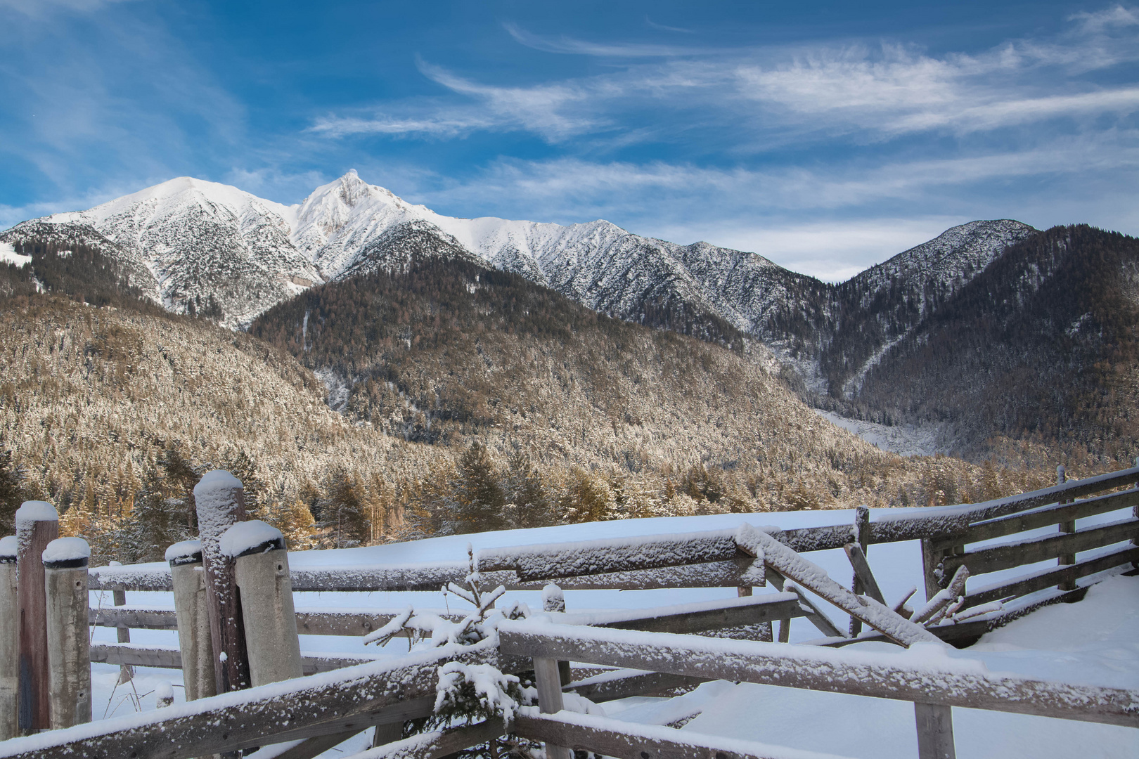 Schneelandschaft