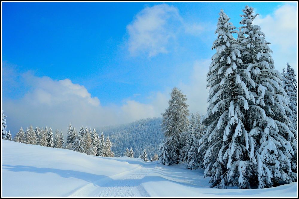 Schneelandschaft bei der Hindenburgshütte Foto & Bild landschaft