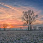 Schneelandschaft bei Minden