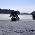 Schneelandschaft bei Nacht und Nebel