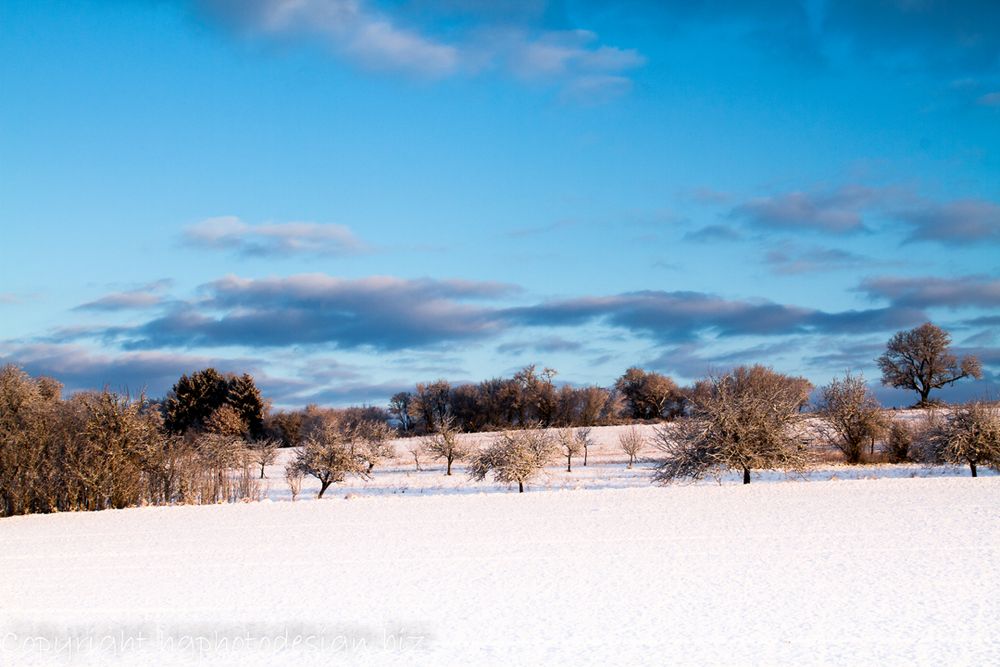 Schneelandschaft