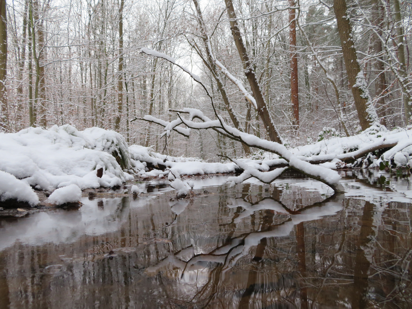 Schneelandschaft 