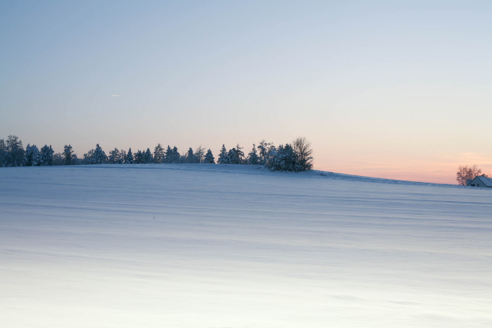 Schneelandschaft