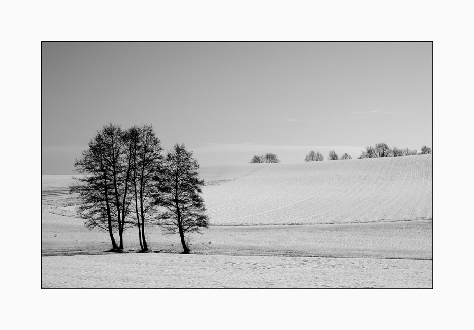 Schneelandschaft.