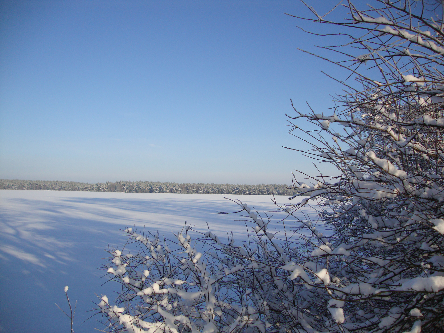 Schneelandschaft