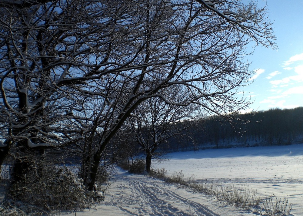 Schneelandschaft....