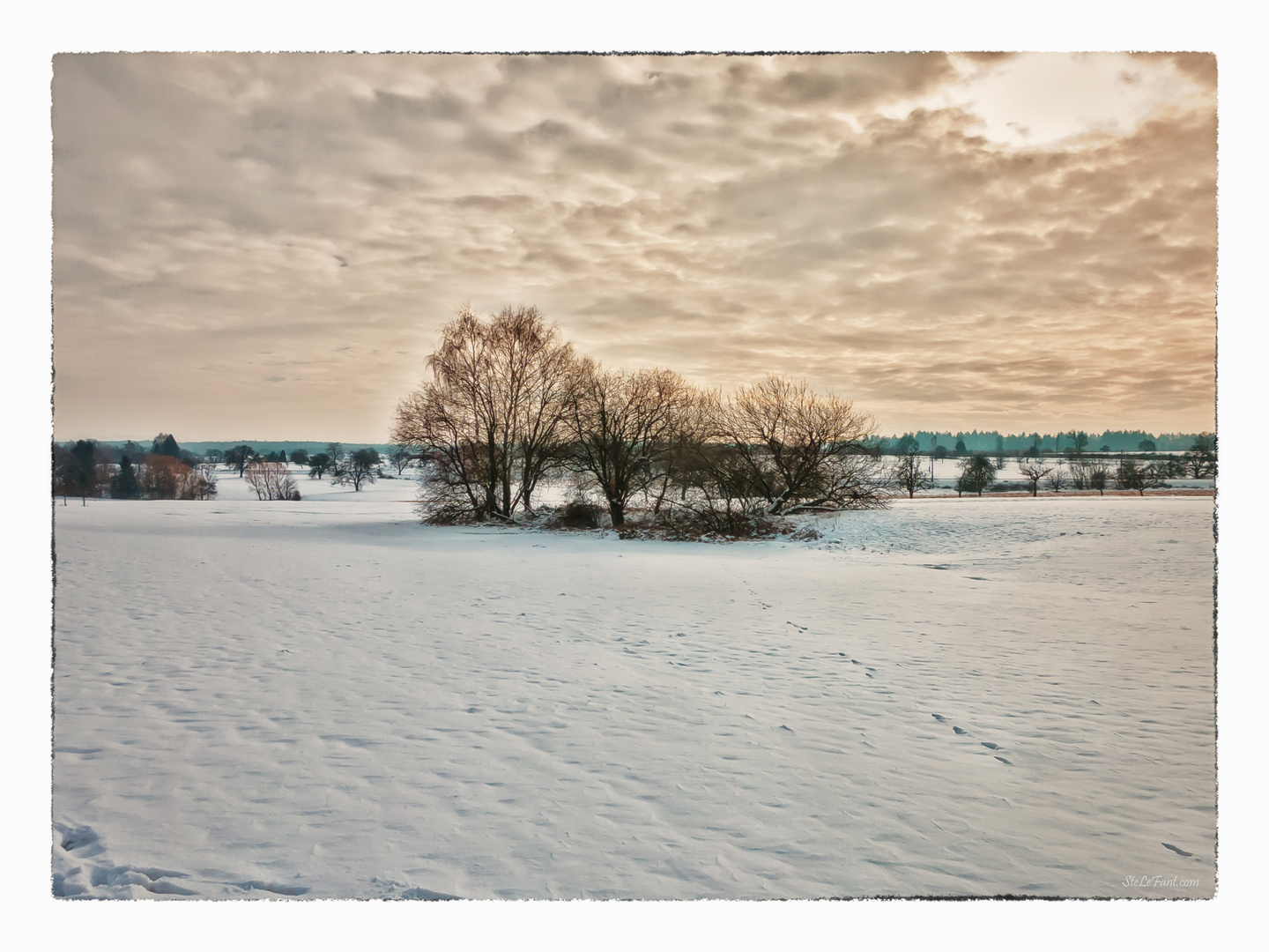 Schneelandschaft