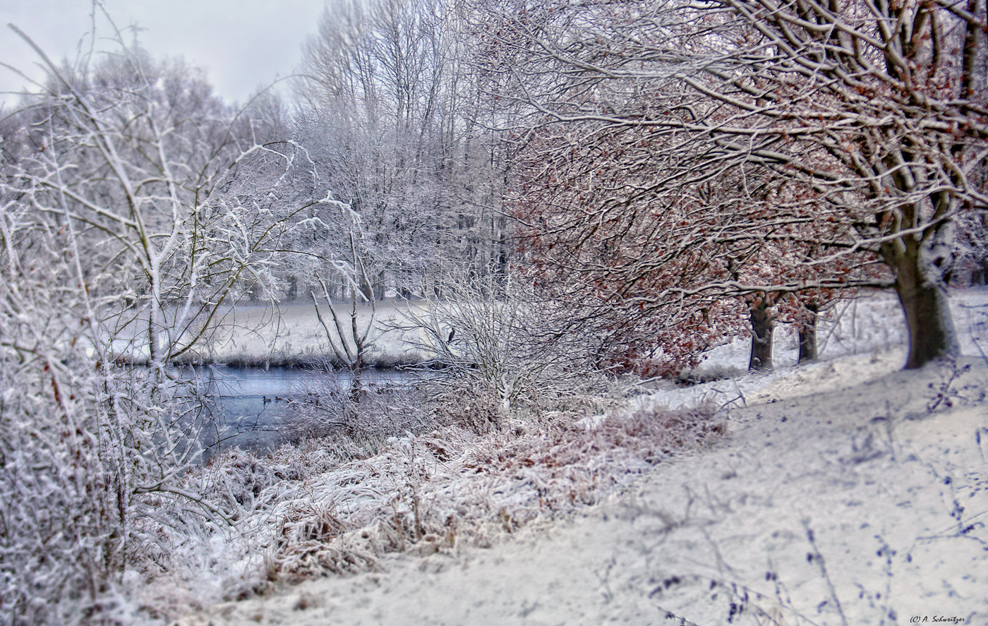 Schneelandschaft