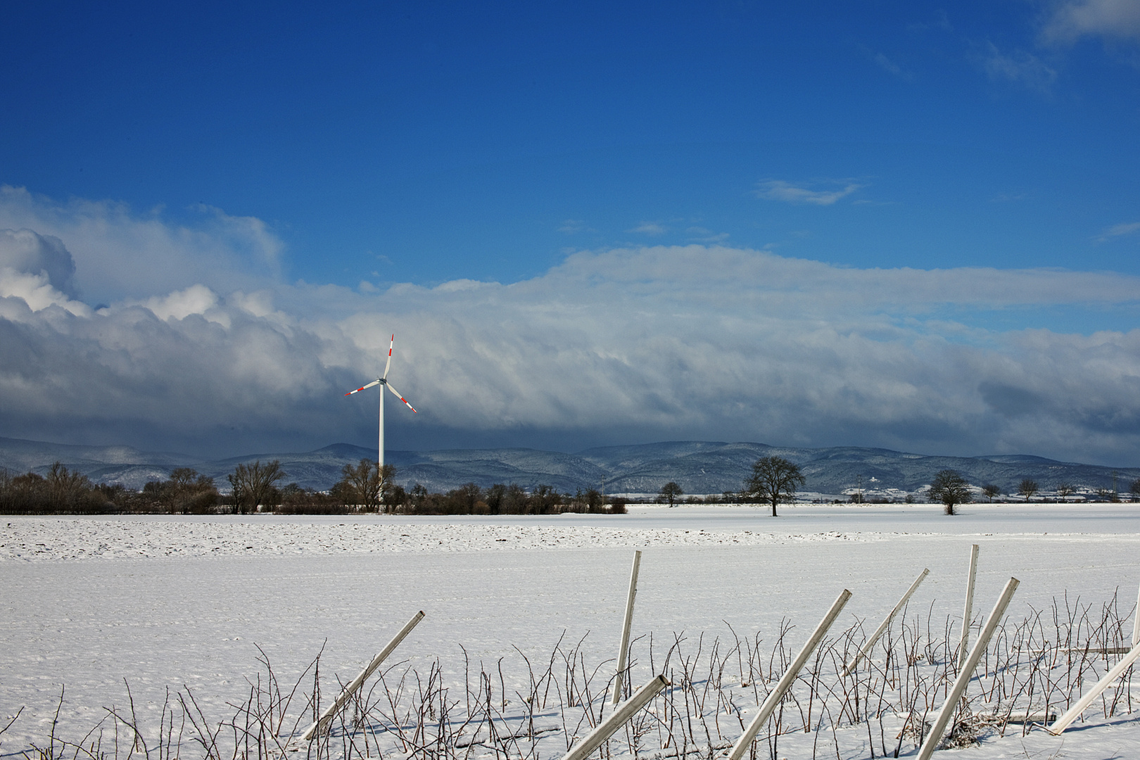 Schneelandschaft